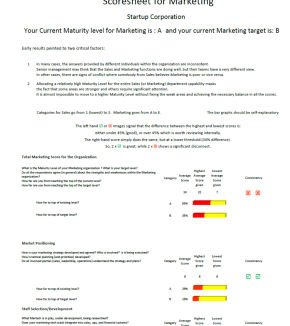First page of the marketing quickscan showing maturity level and consistency