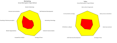 Sales and Marketing Spidergrams - How well are you performing?
